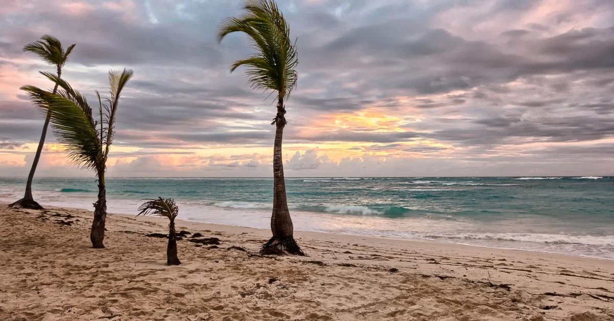 Plage tropicale calme avec des palmiers et des ciels de coucher de soleil colorés, parfaite pour la détente et l'évasion.